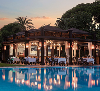 gobelek-gastronomi-papillon-aysha-taco-banner-m.jpg