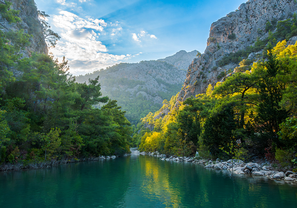 gobelek-belek-page-belek-doga-card-d.jpg