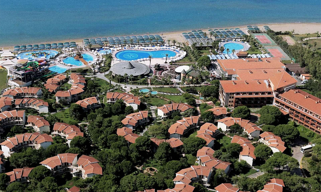 gobelek-papillon-belvin-banner.jpg