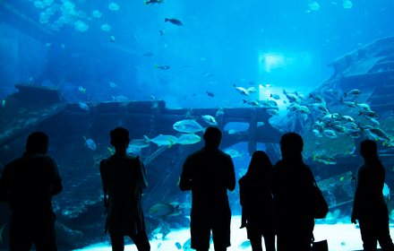Antalya Akvaryum Rehberi – Belek’ten Nasıl Gidilir, Neler Görülür